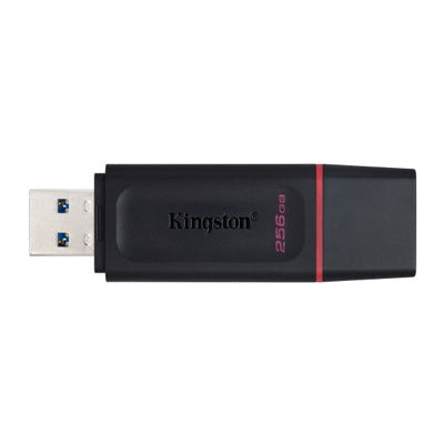 Kingston USB flash drive DataTraveler SE9 128GB