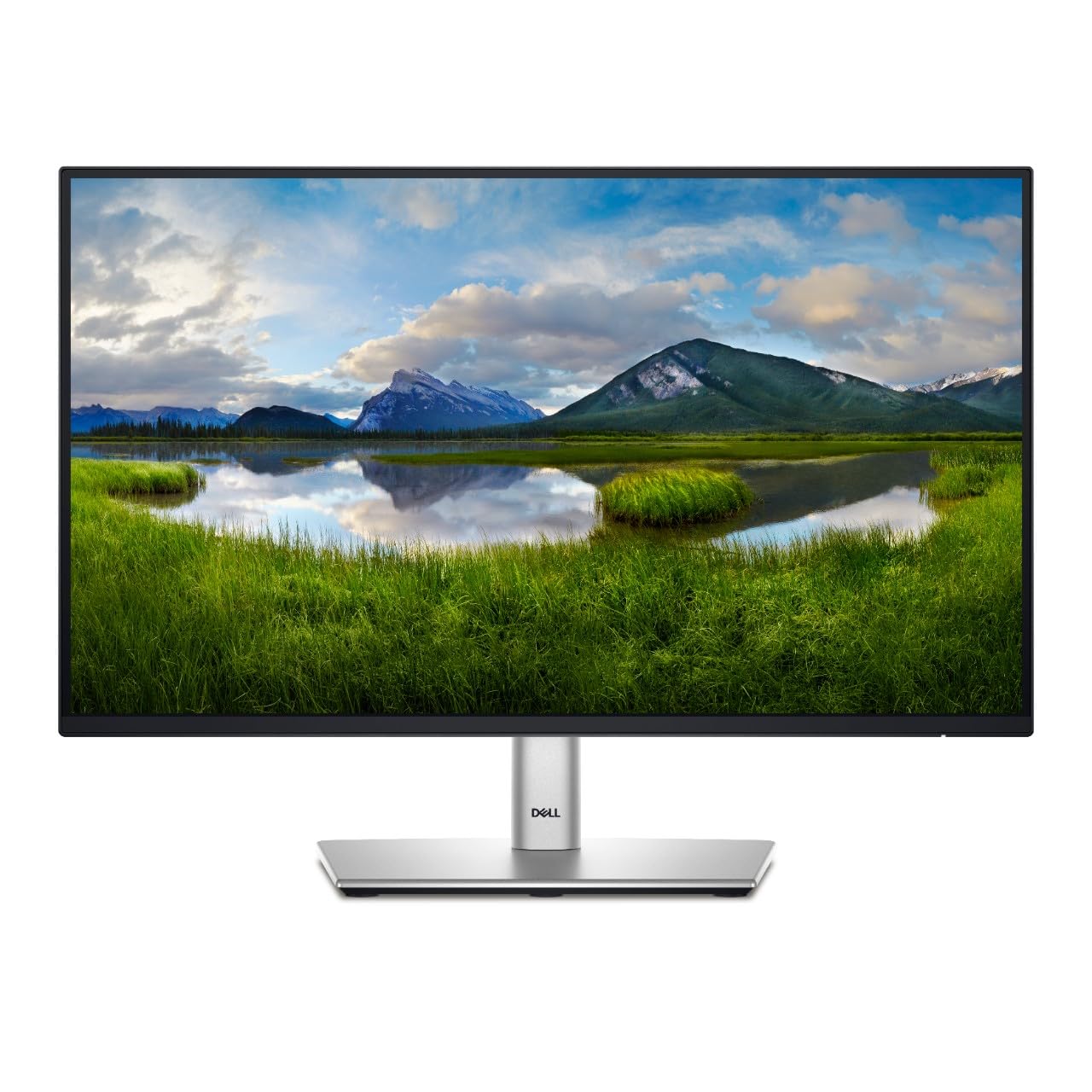Dell DELL-P2424HT - 23.8" - 1920 x 1080