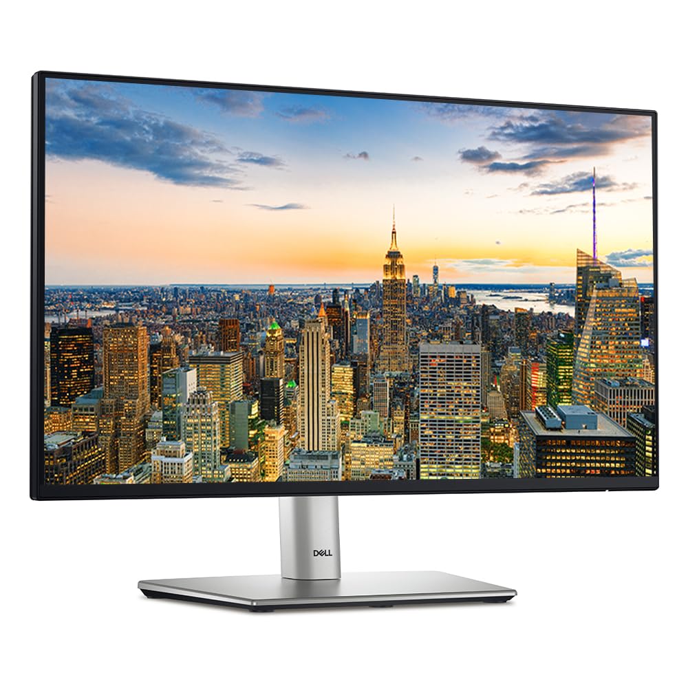 Dell P2425HE - LCD monitor - 23.8"